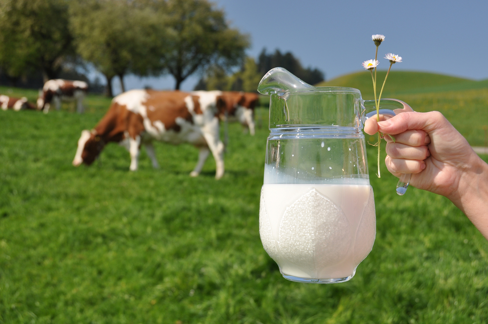 Benefits of Grass Fed Products - grass fed dairy