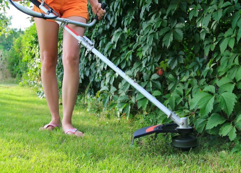 Best Weed Eater Review - legs