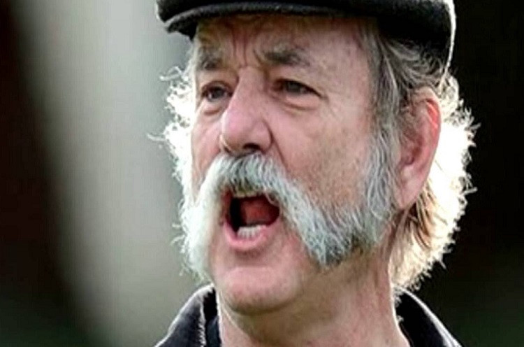 What are the types of mutton chop beards?