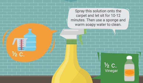 Carpet Stain Remover - Home - Green and Natural Cleaning
