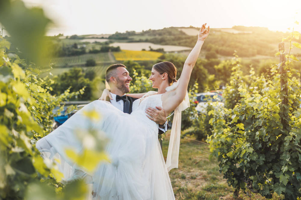 wine country in photos