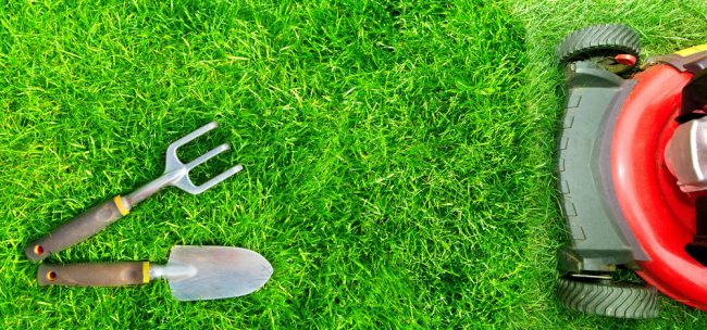Best Electric Lawn Mower - electric lawn mower