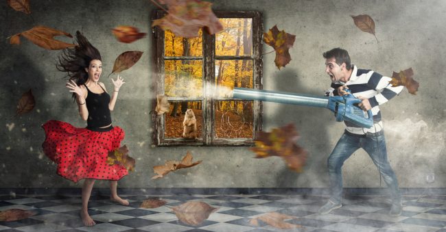 leaf blower