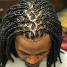 Rolled Dreads