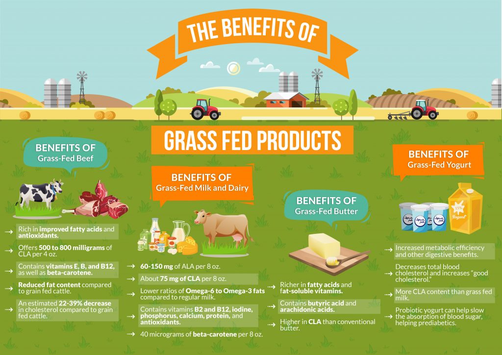 The Benefits of Grass Fed Products