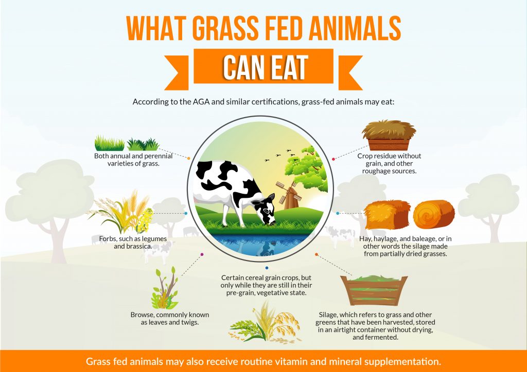 What Grass Fed Animals Can Eat
