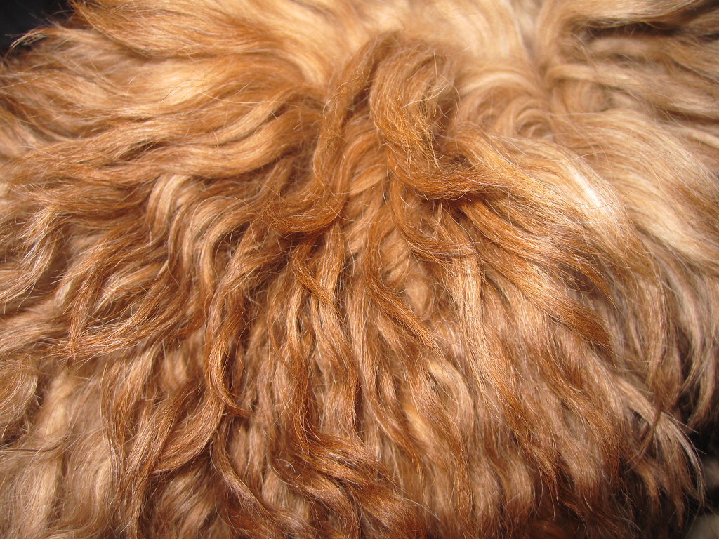 What is Coarse Hair?